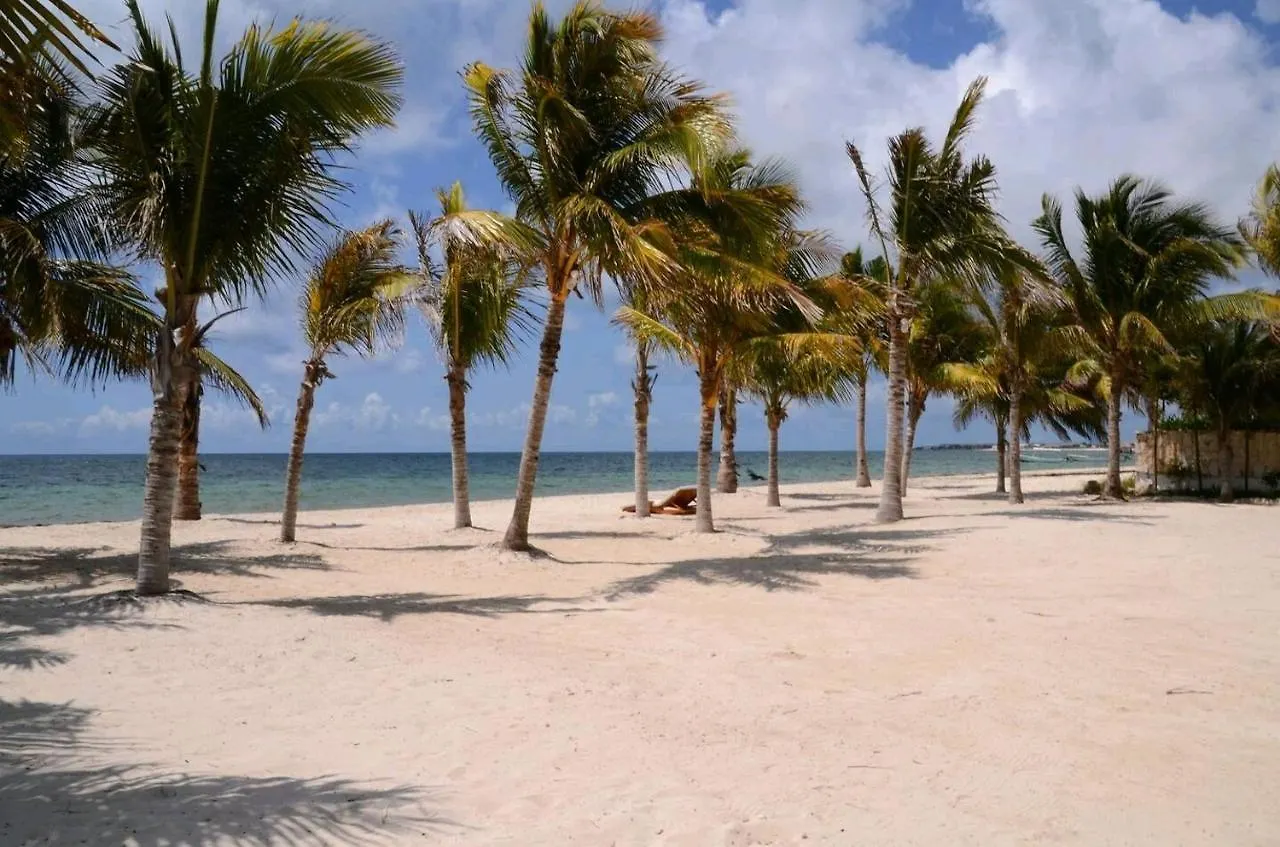 Arenika Oceanfront Vacation Rentals Puerto Morelos 0*,