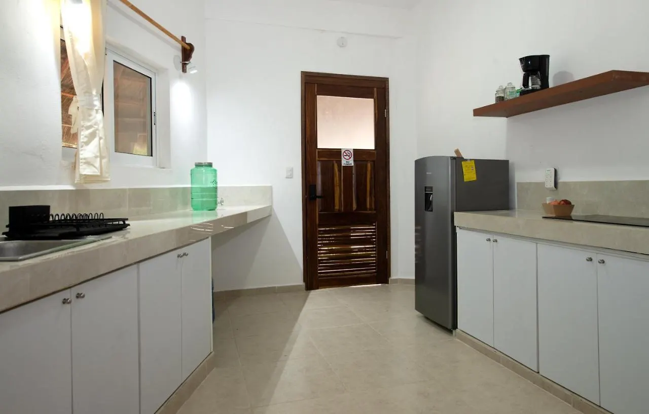 Arenika Oceanfront Vacation Rentals Puerto Morelos Mexico