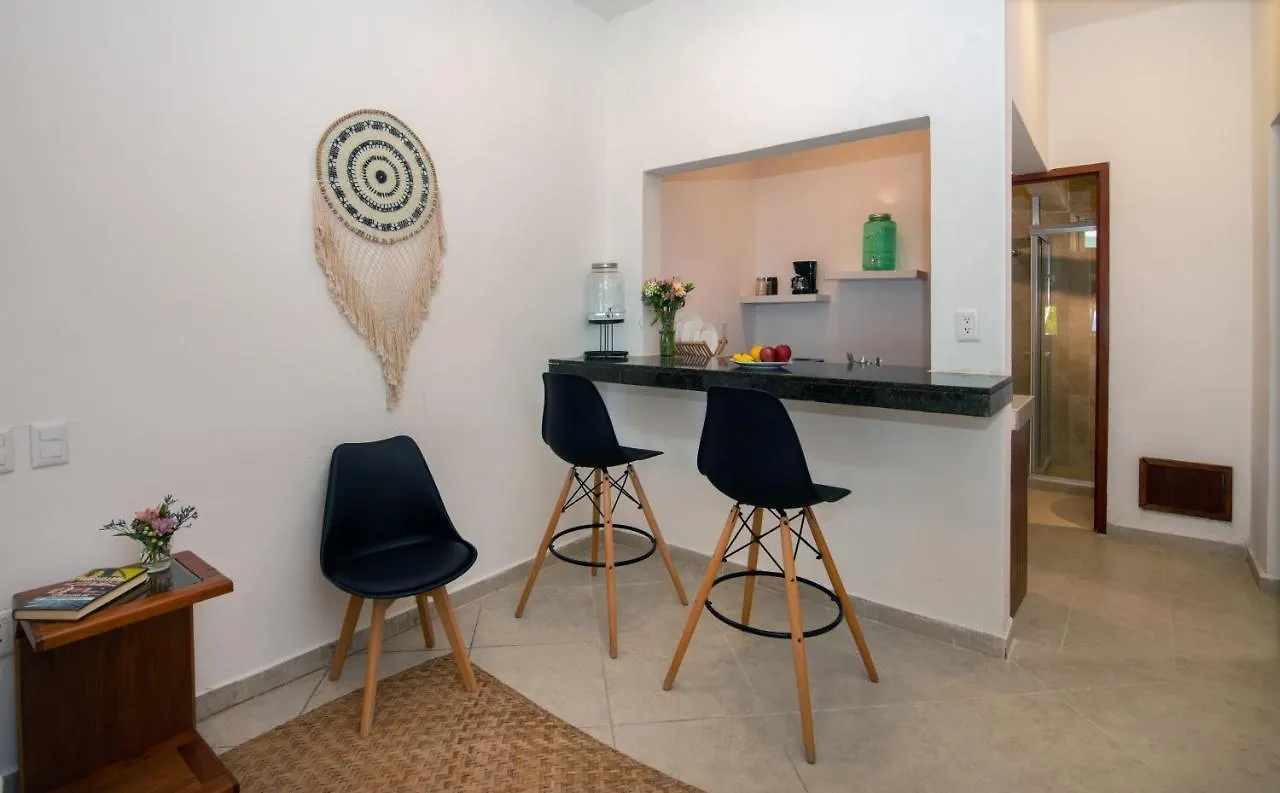 Arenika Oceanfront Vacation Rentals Puerto Morelos Apartment